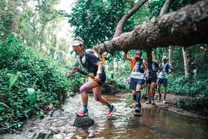 BIB: 
                            <button type="button" onclick="openModal(25369525)" class="btn btn-primary btn-sm float-right btn-popup" data-toggle="modal" data-target=".modal-high-quality">
                        <i class="fas fa-shopping-cart"></i> Add to Cart
                    </button>
                                            <button type="button" onclick="isThisMe(25369525, true)" class="btn btn-success btn-sm float-right btn-popup btn-isme hidden" data-toggle="tooltip" data-placement="bottom" title="นี่คือรูปของคุณใช่ไหม คลิกที่นี่เพื่อเอาเข้าอัลบั้ม">
                        <i class="fas fa-plus"></i> Add to album
                    </button>
                    <button type="button" onclick="isThisMe(25369525, false)" class="btn btn-warning btn-sm float-right btn-popup btn-isnotme hidden">
                        <i class="fas fa-ban"></i> Remove from album
                    </button>